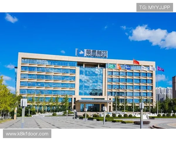 全面解析k8凯发国际入口的登录流程与常见问题解决方案